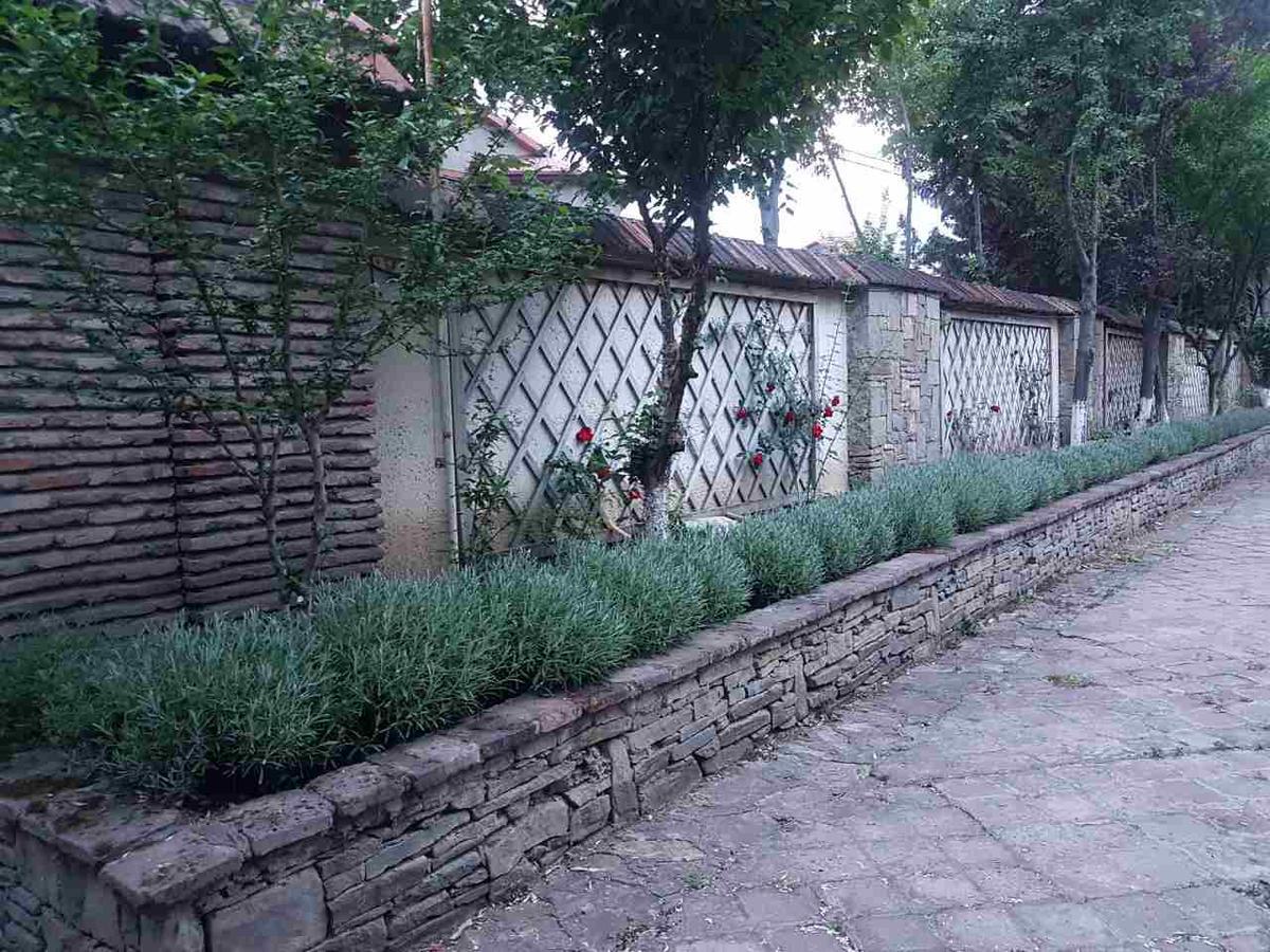 Rare House With Garden Villa Tbilisi Exterior photo