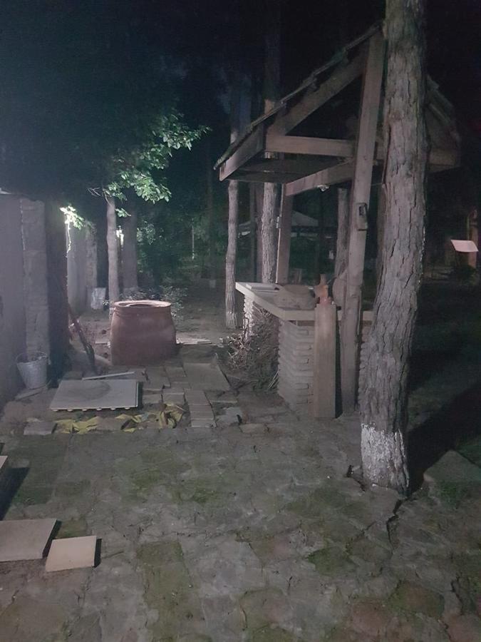 Rare House With Garden Villa Tbilisi Exterior photo
