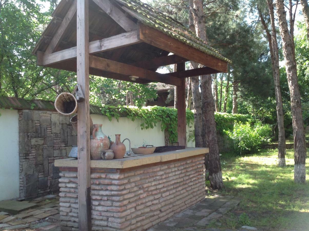 Rare House With Garden Villa Tbilisi Exterior photo
